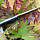 Нож финка разведчика Steelclaw "Клён"