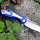Нож TWO SUN TS66G10