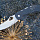 Складной нож "Navy k615" 2 вида с серейтором 