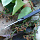Нож Two Sun TS244 M390
