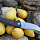 Нож тактический CH 3528G10BK