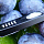 Нож Steelclaw "Криптон-04-2"