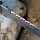 Финский нож спецназа Steelclaw "Вождь" марка стали D2