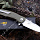 Нож Bestech knives "WARWOLF"